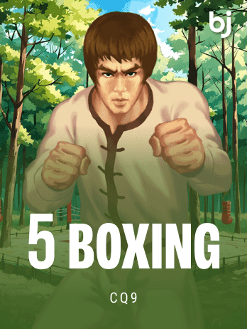 5 Boxingpng game cover